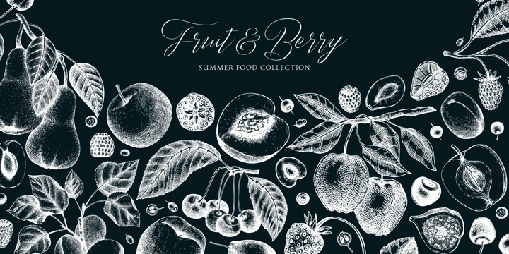 Berry and fruit background on chalkboard. Cherry, plum, apple, peach, apricot, fig, strawberry in sketch style. Hand-drawn fruit tree banner template in vintage style.